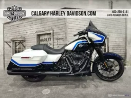 
										2021 Harley-Davidson Street Glide Special 114 (FLHXS) full									