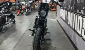 2021 Harley-Davidson Iron 1200 (XL1200NS)