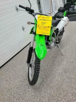 
										2022 Kawasaki KLX300R full									