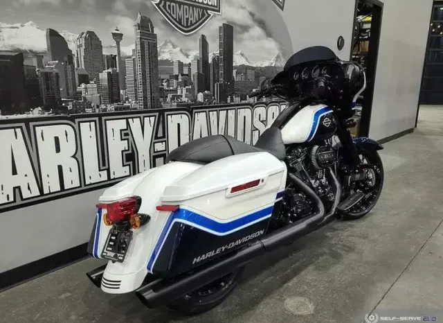 
								2021 Harley-Davidson Street Glide Special 114 (FLHXS) full									