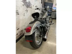 2007 Harley-Davidson Softail Deuce 1450 (FXSTD)