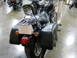 2009 Harley-Davidson Dyna Low Rider 96 (FXDL)
