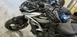 2019 Kawasaki Versys 650 ABS