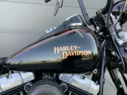 
										2009 Harley-Davidson Cross Bones 96 (FLSTSB) full									