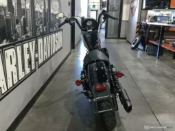 
										2021 Harley-Davidson Iron 1200 (XL1200NS) full									